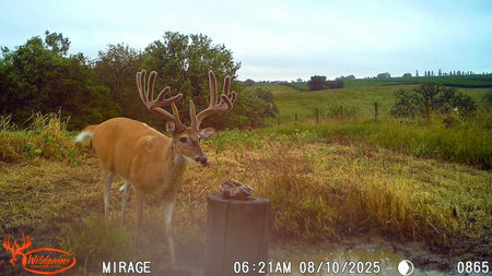 hunt img