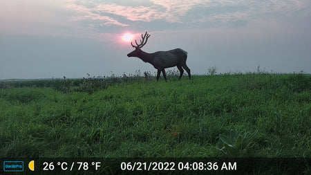 hunt img