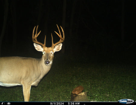 hunt img