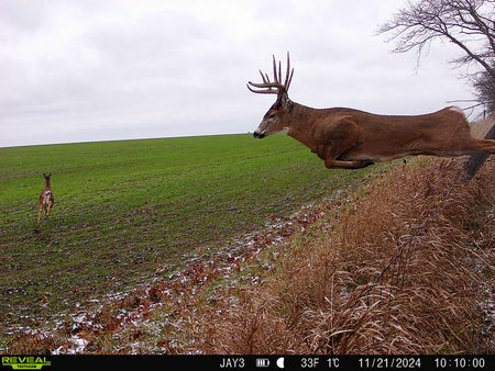 hunt img