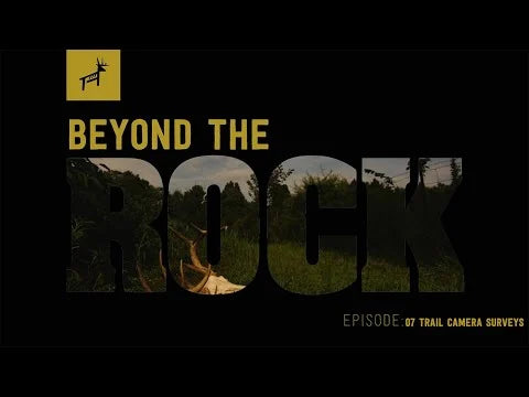 Beyond the Rock Ep 7: Trail Camera Tips for Deer Hunting | Best Tutorial for 1st Trail Cam Card Pull