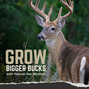 Trophy Rock Four65® - Granular Minerals For Deer