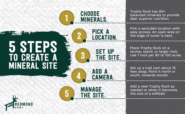 Hunt Mineral Site Steps